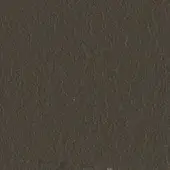Dark brown textured surface with irregular grain, resembling distressed leather; matte finish; includes text “swan > leather (pn) > pn 1140”.
